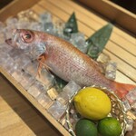 のどぐろ専門 銀座 中俣 - 