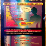 雷 - セカンドインパクト取扱説明書