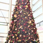 ロピア - ミウィ5階♥窓際のツリーちゃん♫♬