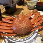 砂丘センター 見晴らしの丘 - ゆで姿がに