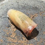 壮士 - 縞鯵アップ