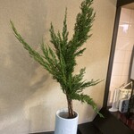 サロックながた - 