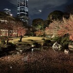 レストラン サクラ - 