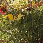 Nui. HOSTEL & BAR LOUNGE - 