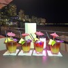 maitai bar