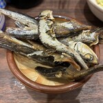 大衆酒場 きんちゃん家 船橋店 - 