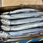 さんまのヤマホン - 綺麗なサンマちゃん\(//∇//)\