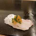 菊水鮓 - 明石ダイ