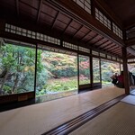 らぁ麺 とうひち - 苔が瑠璃色だからだそう。