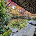 らぁ麺 とうひち - 一階から見た瑠璃の庭。