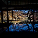 らぁ麺 とうひち - 右側は既に散ってます。