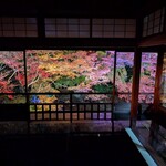 らぁ麺 とうひち - ライトアップで誤魔化されます。