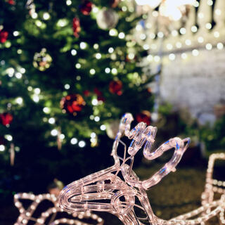 表参道バンブー_1