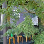 蕎花 - 