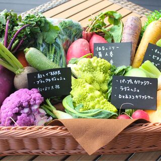 地元鎌倉で栽培・採取された食材の他、シェフの目利きの食材