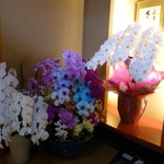 祇園 さゝ木 - 2014年11月　2度目の訪問　玄関の胡蝶蘭