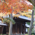祇園 さゝ木 - 2014年11月　2度目の訪問　建仁寺の中を通って、お店へ～♪