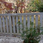 Fioretto - 窓から外を見た感じ