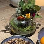 レスピラシオン - 