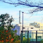 味楽 - お店の坂下、医大通りから臨む"防衛庁"。