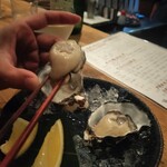 SAKE BAR オトナリ - 