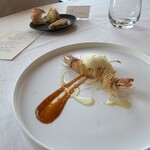 サーラ アマービレ - 