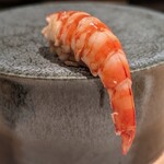 五反田鮨 SUSHI TOKYO 81 - 