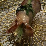 北海道焼肉 北うし - 