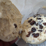 SANA - レーズンとクリームチーズってベタだけど間違いない！