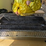 牡蠣小屋 住吉丸 - 