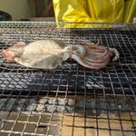 牡蠣小屋 住吉丸 - スルメいか