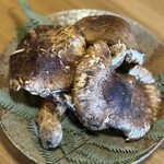 四季の味 おやじのめしや - 