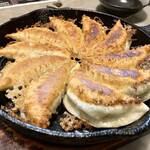 ぎょうざ登 - 餃子ハーフ