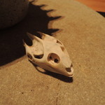 神保町 傳 - スッポンのお椀