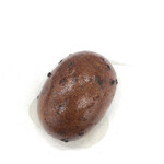 たいやき神田達磨 - 