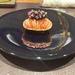 イル アオヤマ - 