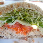 Andy's Sandwiches&Smoothies - Sandwiches