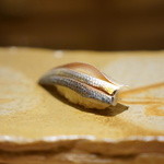 鮨 さいとう - コハダ