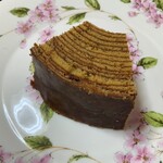 333170567 - ガジュマルS