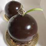 資生堂パーラー - 料理写真:ショコラグリオット 891円