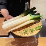 銀座 青天 - 下仁田葱(調理前)