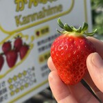 姫路ハートフル観光農園 - 