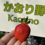 姫路ハートフル観光農園 - 