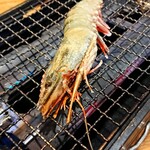 浜焼き・海鮮バル魚魚カルチョ - 