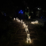 国登録文化財 二木屋 - 