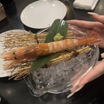 牡蠣&海老バル EAST BLUE - 