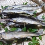 三右ヱ門 - 31回目→