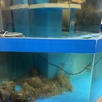 おらんく家 本店 - 