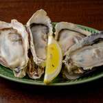 カドノロヂウラ - 