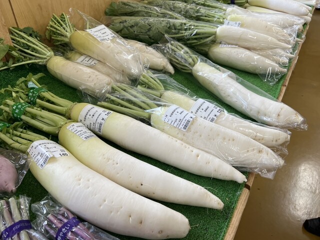 やさい王国 - 矢島（その他）の写真